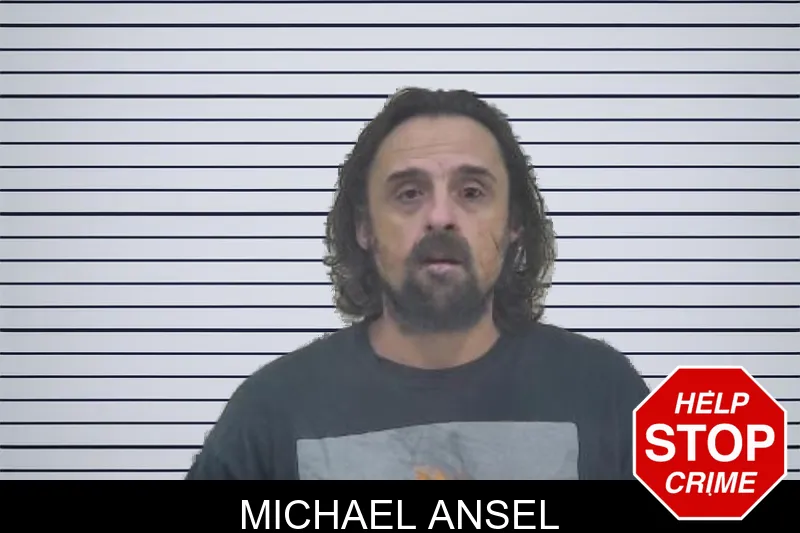 Michael Ansel mugshot
