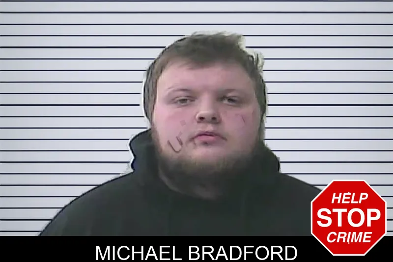 Michael Bradford mugshot