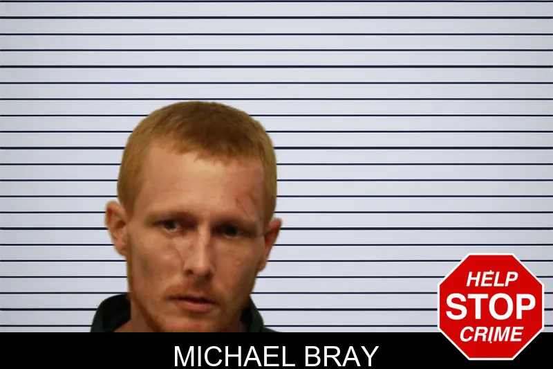Michael Bray mugshot