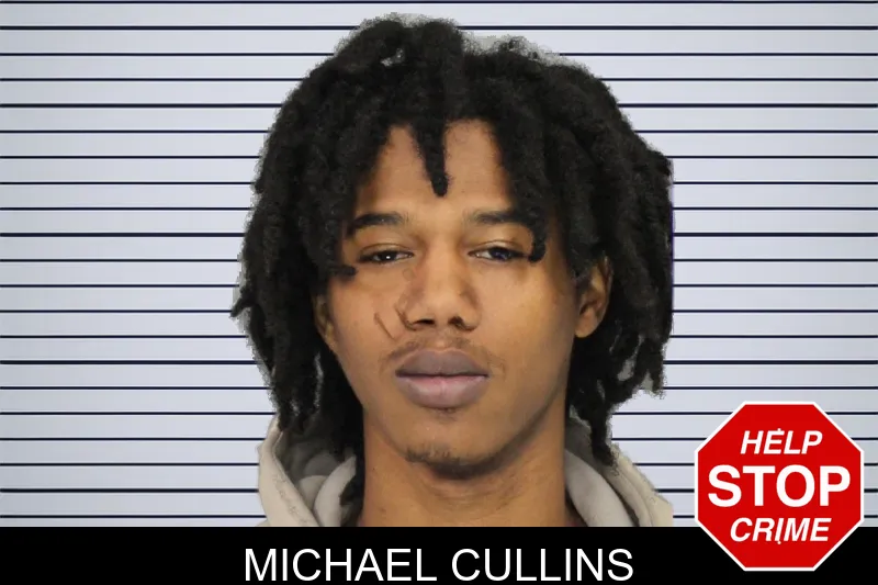 Michael Cullins mugshot