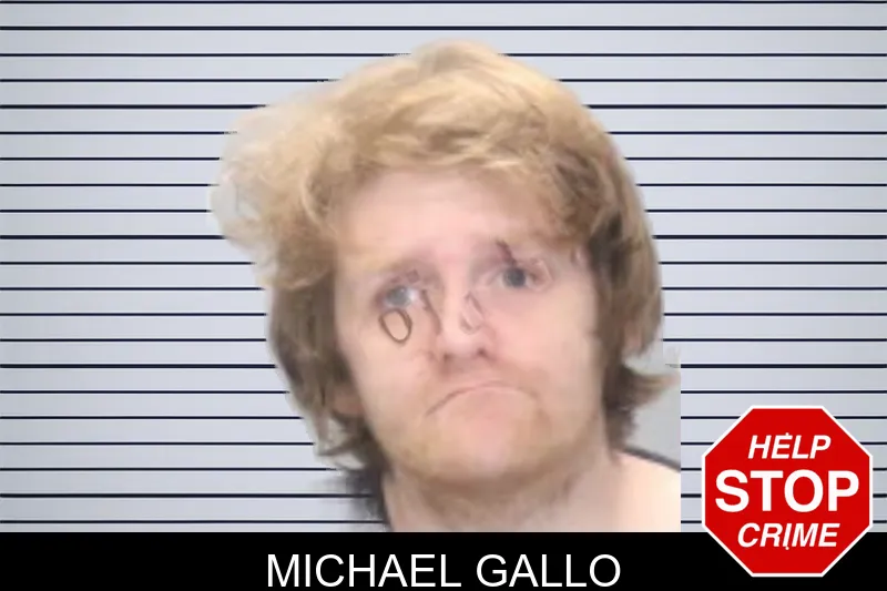 Michael Gallo mugshot