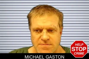 Michael Gaston mugshot