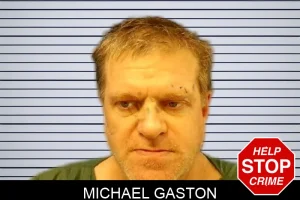Michael Gaston mugshot