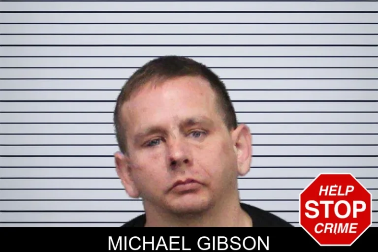 Michael Gibson mugshot – White County , Georgia Michael Gibson