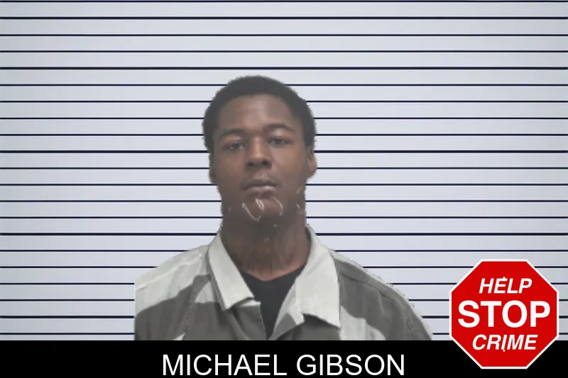 Michael Gibson mugshot