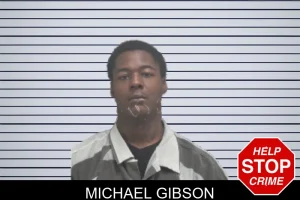 Michael Gibson mugshot