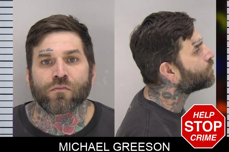 Michael Greeson mugshot