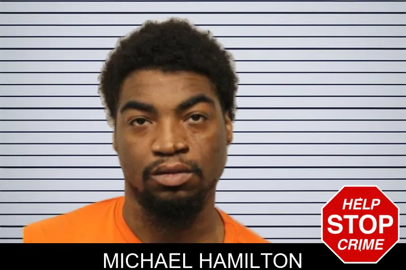 Michael Hamilton mugshot