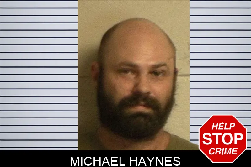 Michael Haynes mugshot