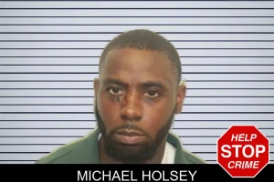 Michael Holsey mugshot