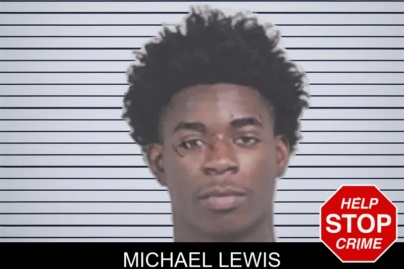 Michael Lewis mugshot