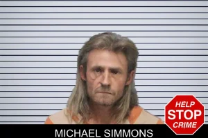 Michael Simmons mugshot