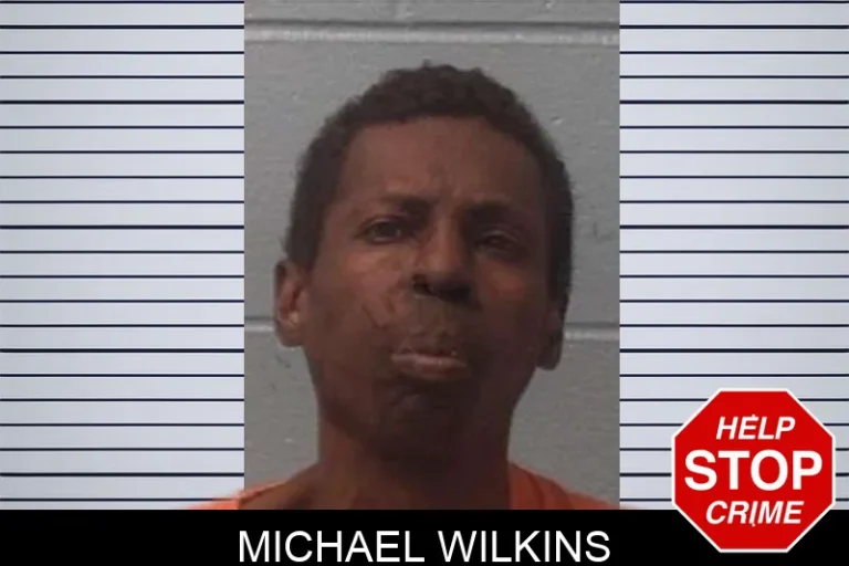 Michael Wilkins mugshot – Franklin County , Georgia Michael Wilkins