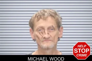 Michael Wood mugshot