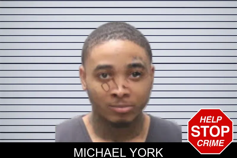 Michael York mugshot