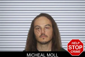 Micheal Moll mugshot