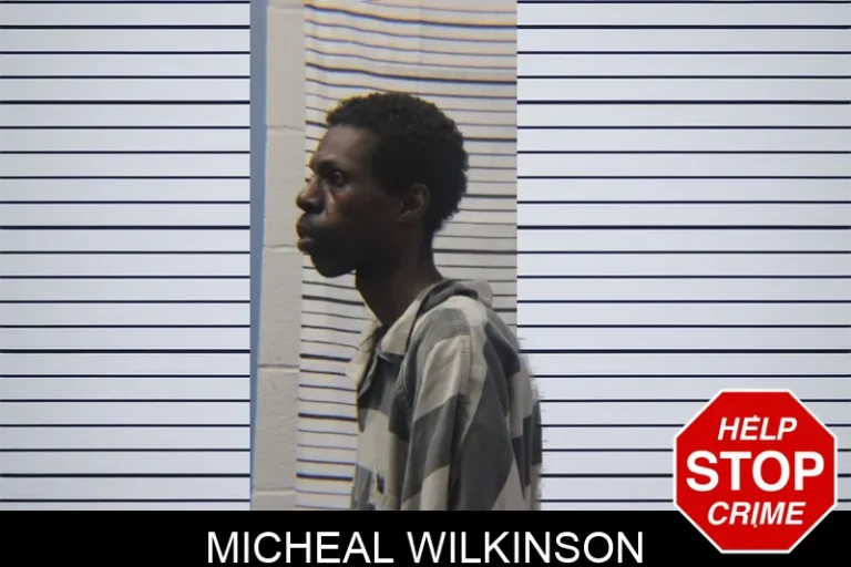 Micheal Wilkinson mugshot – Stephens County , Georgia Micheal Wilkinson
