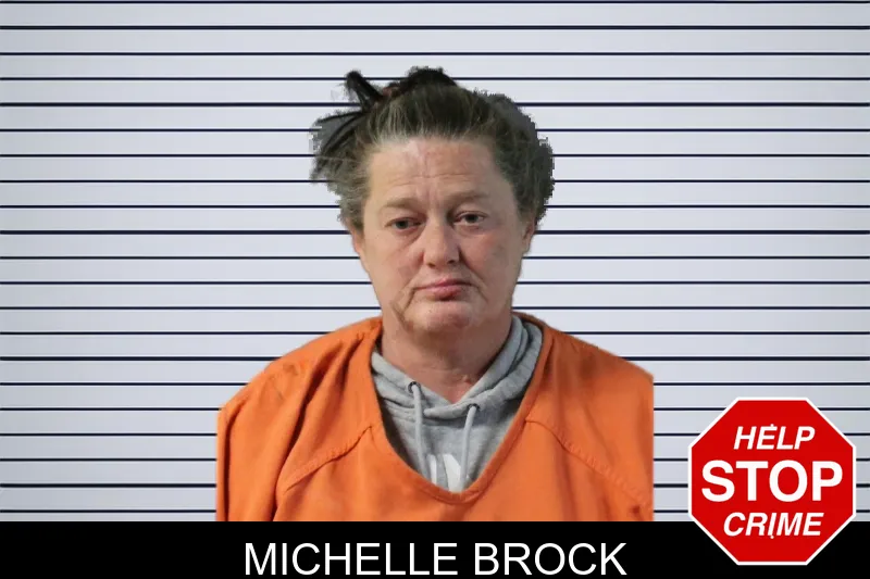 Michelle Brock mugshot