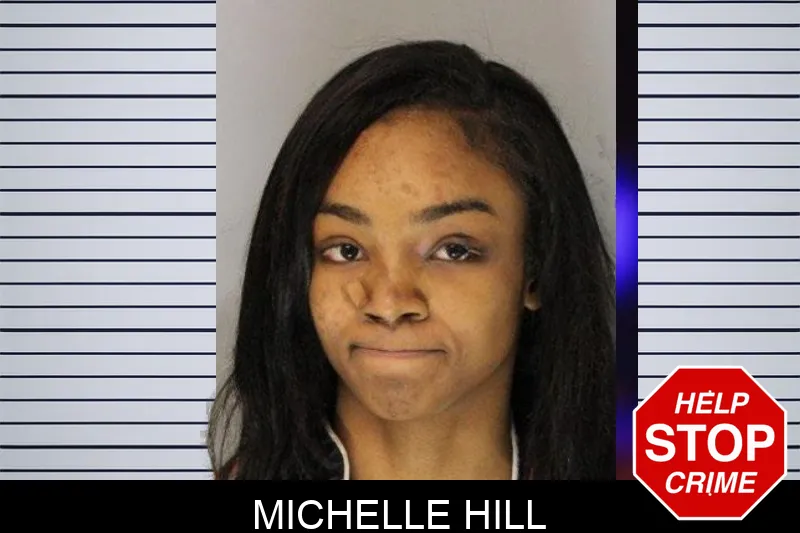 Michelle Hill mugshot – Hall County , Georgia Michelle Hill mugshot