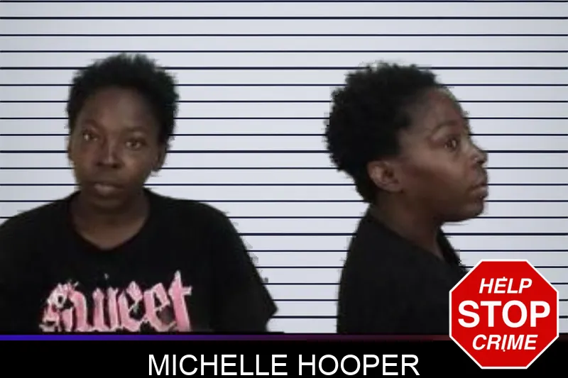 Michelle Hooper mugshot – Camden County , Georgia Michelle Hooper mugshot