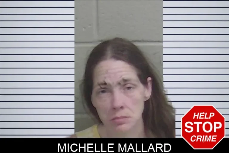 Michelle Mallard mugshot – Wayne County , Georgia Michelle Mallard