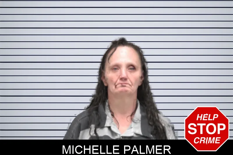 Michelle Palmer mugshot – Dougherty County , Georgia Michelle Palmer mugshot
