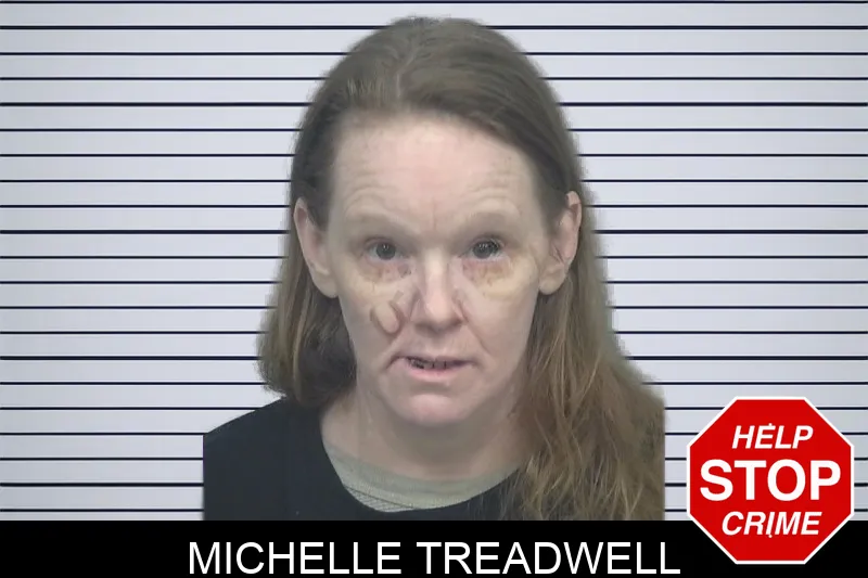 Michelle Treadwell mugshot