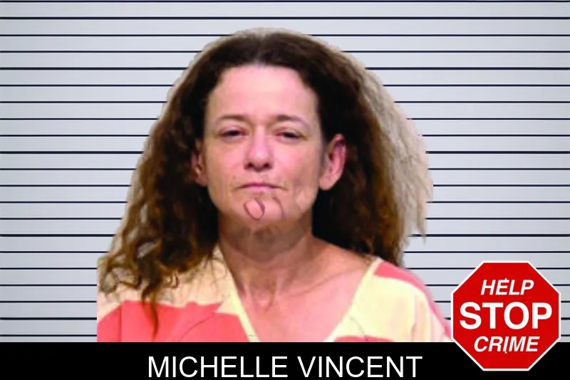 Michelle Vincent mugshot – Bartow County , Georgia Michelle Vincent mugshot