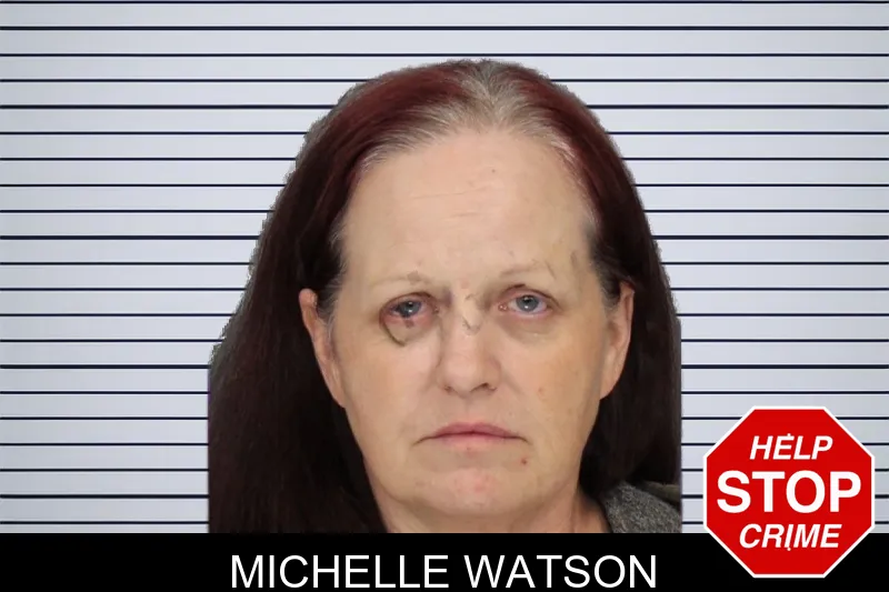 Michelle Watson mugshot