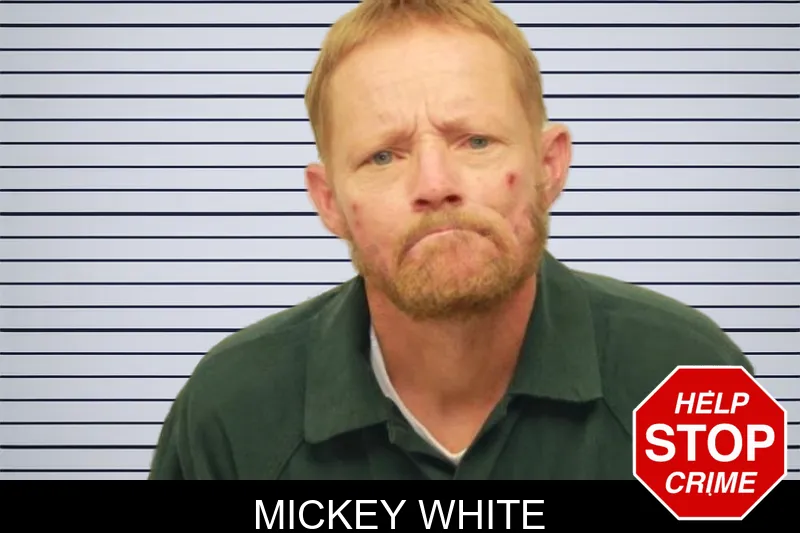 Mickey White mugshot