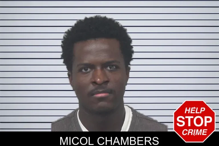 Micol Chambers mugshot – Gwinnett County , Georgia Micol Chambers