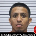 Miguel Amaya Zalasar mugshot