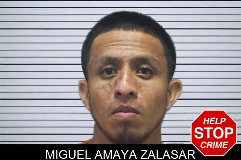Miguel Amaya Zalasar