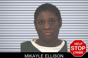Mikayle Ellison mugshot