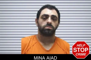 Mina Aiad mugshot