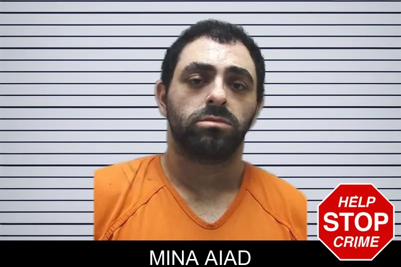 Mina Aiad mugshot – Cherokee County , Georgia Mina Aiad mugshot