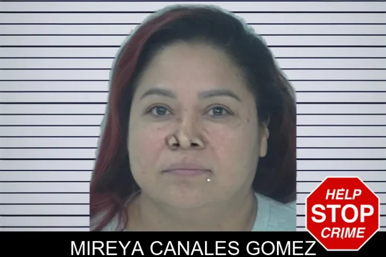 Mireya Canales Gomez