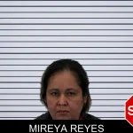 Mireya Reyes mugshot