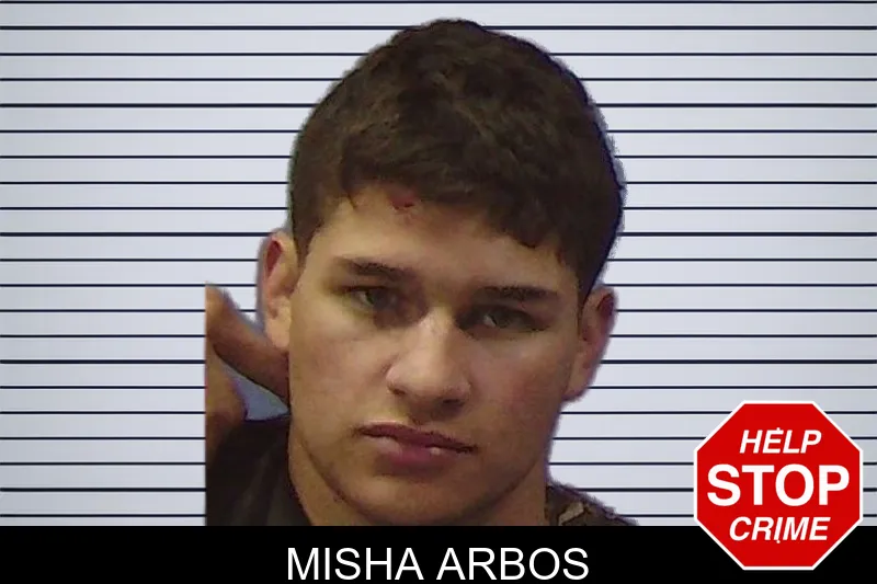 Misha Arbos mugshot – Chattooga County , Georgia Misha Arbos mugshot
