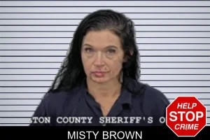 Misty Brown mugshot