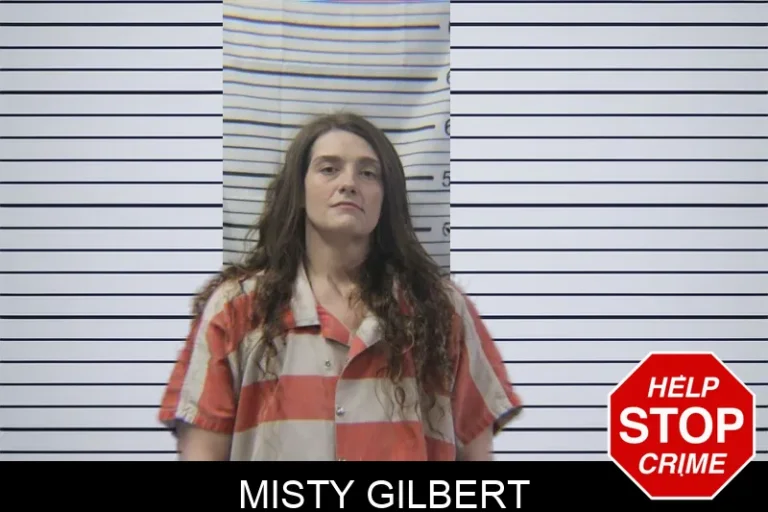 Misty Gilbert mugshot – Stephens County , Georgia Misty Gilbert