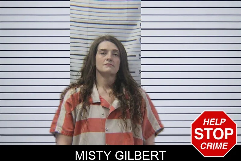 Misty Gilbert mugshot – Stephens County , Georgia Misty Gilbert mugshot