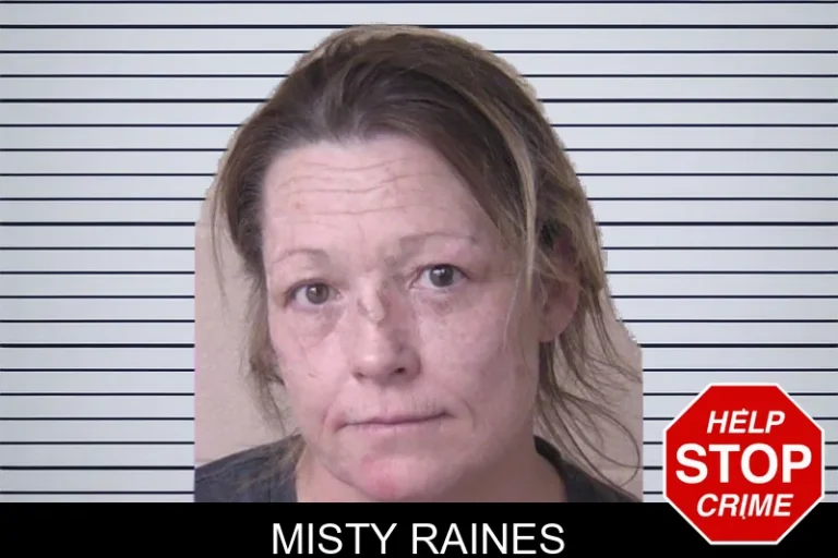 Misty Raines mugshot – Walker County , Georgia Misty Raines