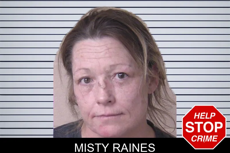 Misty Raines mugshot