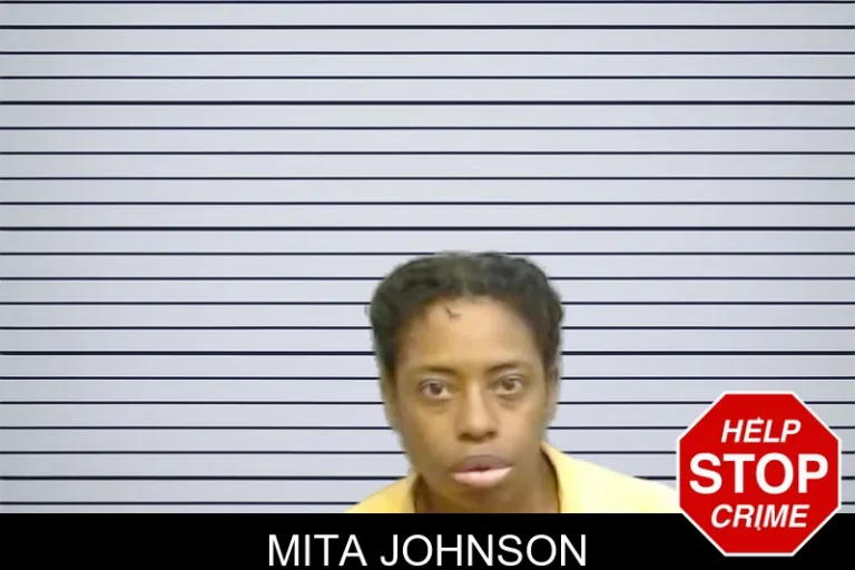 Mita Johnson mugshot – Fulton County , Georgia Mita Johnson