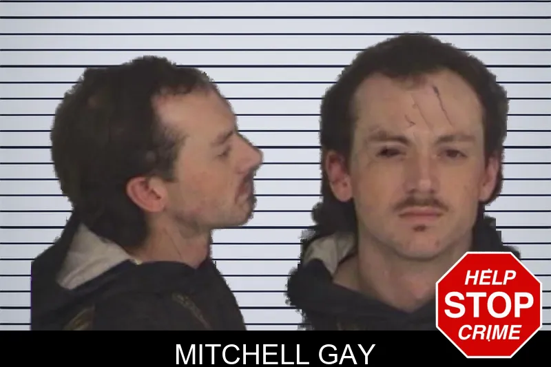 Mitchell Gay mugshot