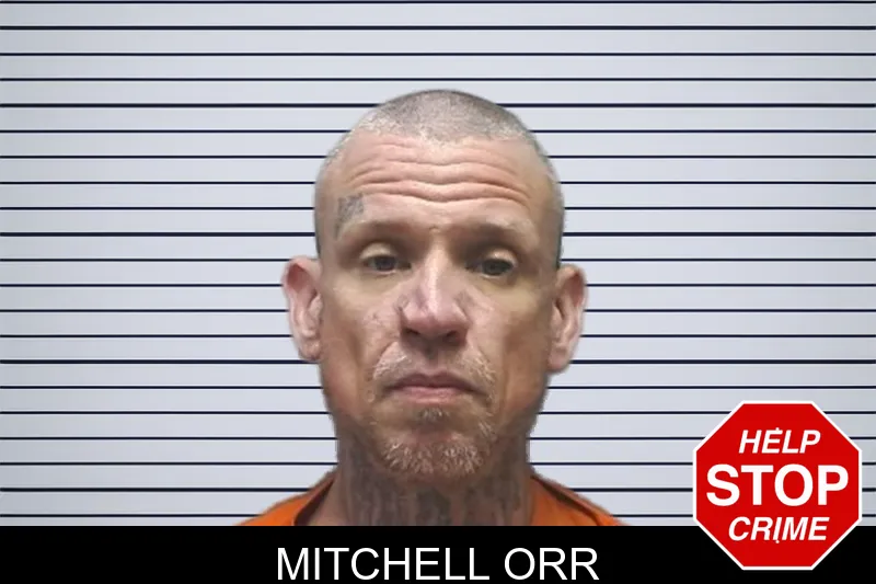 Mitchell Orr mugshot