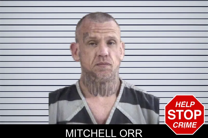 Mitchell Orr mugshot