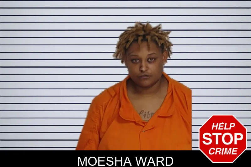 Moesha Ward mugshot