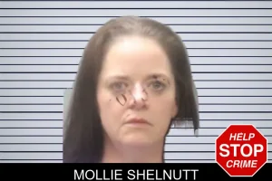 Mollie Shelnutt mugshot